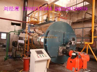 6噸燃?xì)庹羝仩t