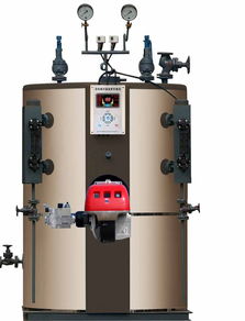 如何選購優(yōu)質(zhì)蒸汽鍋爐 關(guān)鍵要素與推薦產(chǎn)地